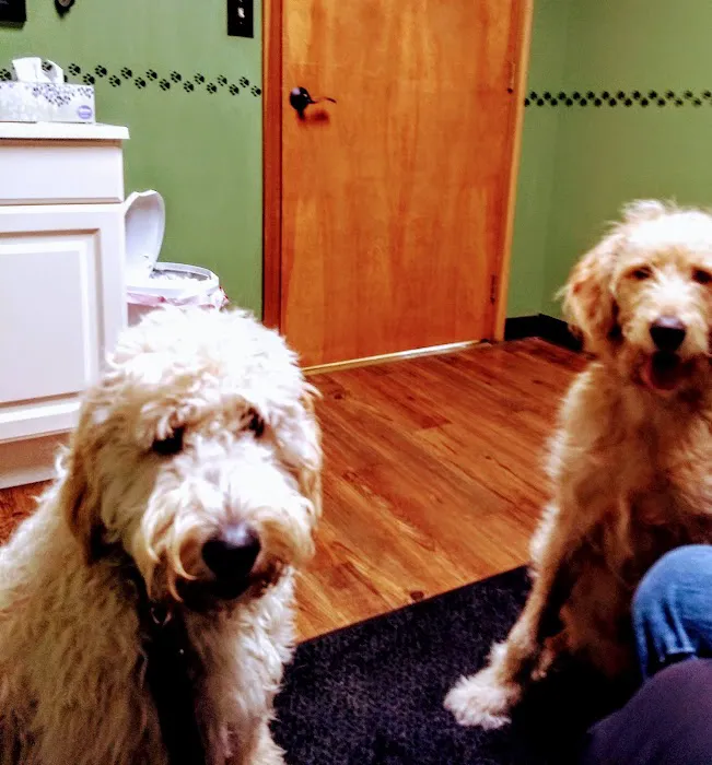 Ashland Veterinary Clinic Picture 9