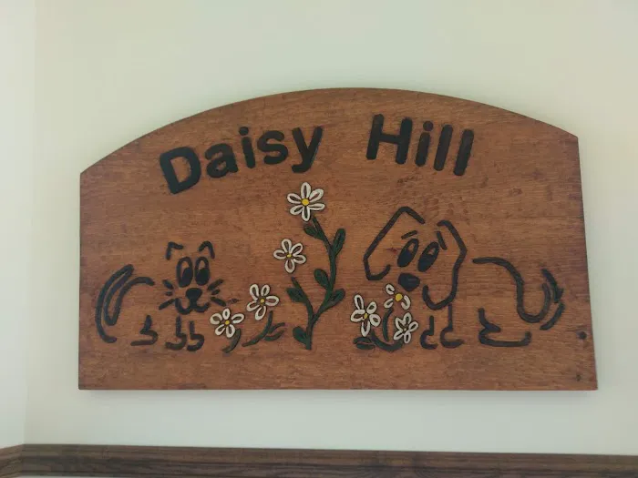 Daisy Hill Animal Hospital Picture 4