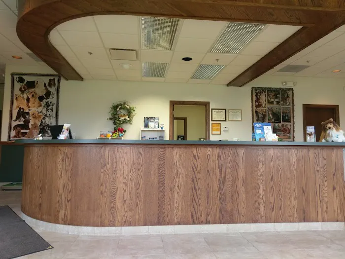 Daisy Hill Animal Hospital Picture 3