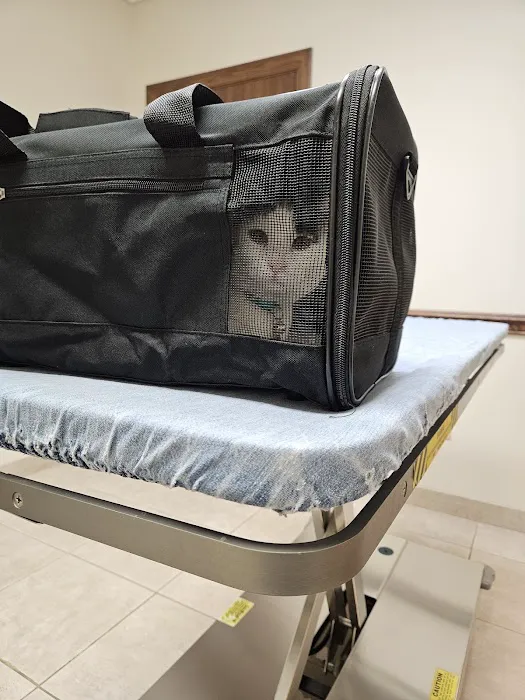 Daisy Hill Animal Hospital Picture 5