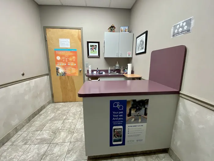 River Square Animal Hospital Picture 9