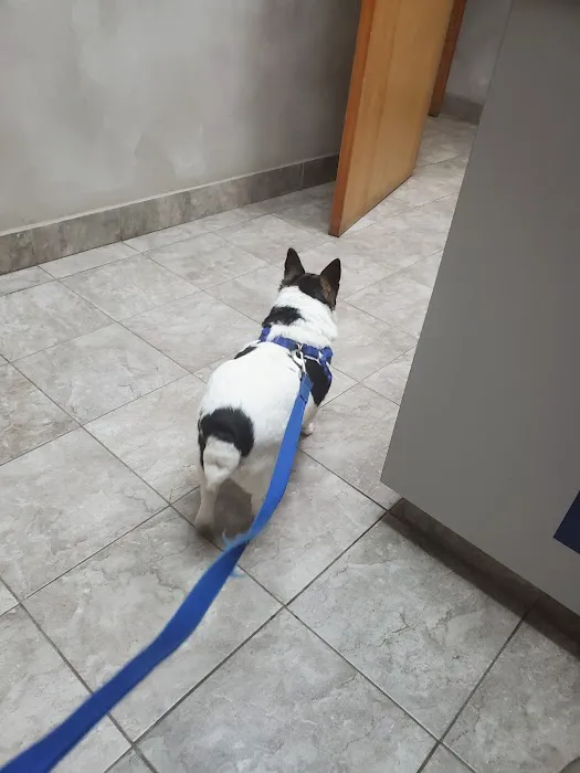 River Square Animal Hospital Picture 8