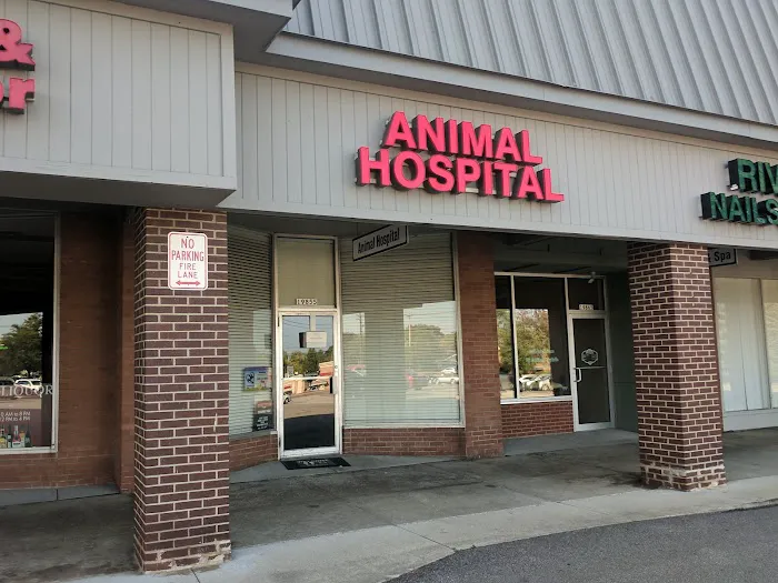River Square Animal Hospital Picture 5