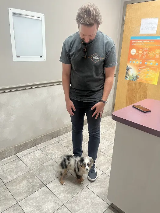 River Square Animal Hospital Picture 10