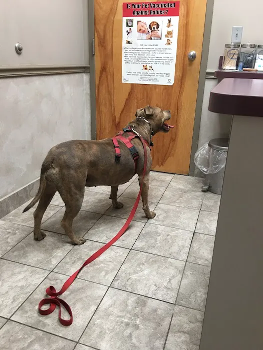 River Square Animal Hospital Picture 1