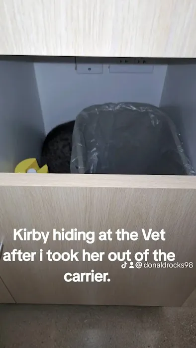 Vetco Total Care Animal Hospital Picture 9