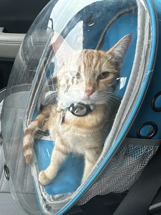 Vetco Total Care Animal Hospital Picture 7