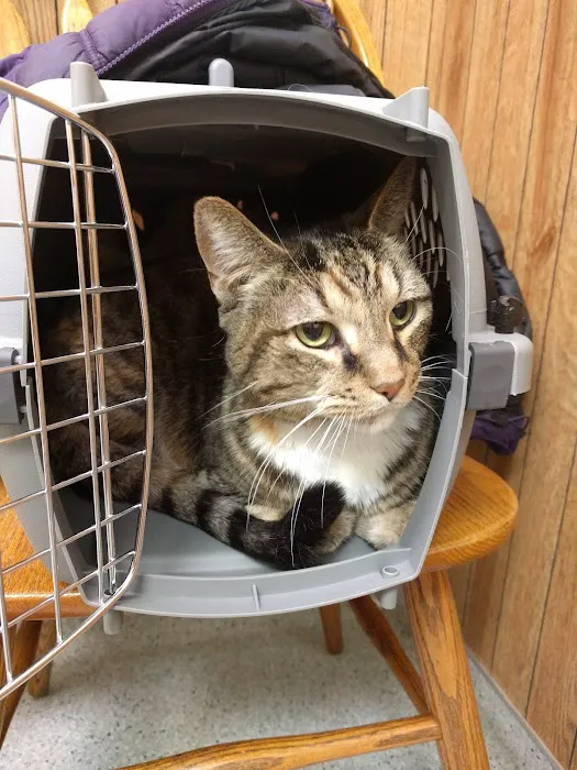 Bay Village Animal Clinic Picture 9