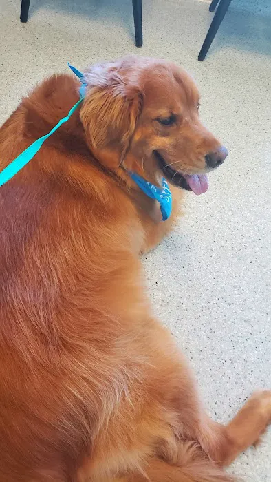 Bay Village Animal Clinic Picture 10