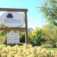 Little River Veterinary Hospital ico