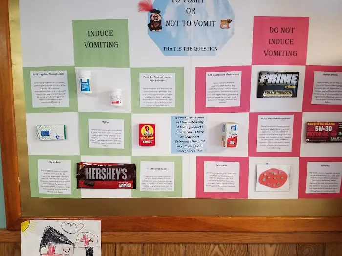 Searsport Veterinary Hospital Picture 7