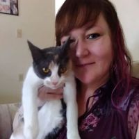 Deer Isle Veterinary Clinic ico