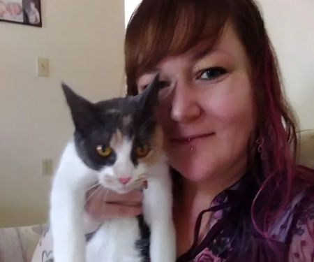 Deer Isle Veterinary Clinic