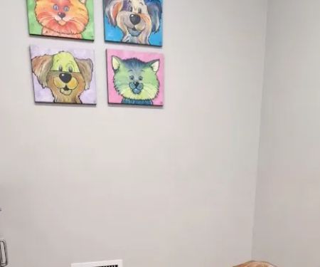 Animal Hospital North