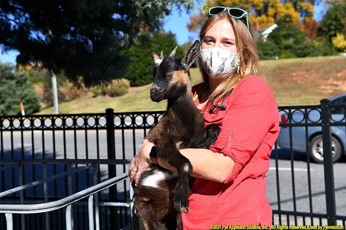 All Hearts Animal Hospital Picture 10