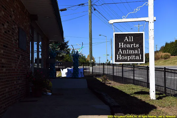 All Hearts Animal Hospital Picture 9