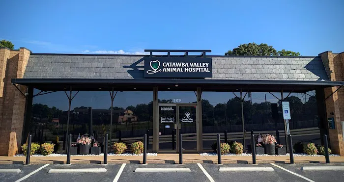 Catawba Valley Animal Hospital Picture 3