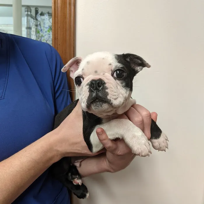 Catawba Valley Animal Hospital Picture 2