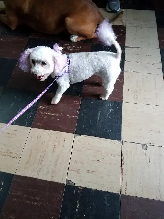 Hill Animal Hospital Picture 4