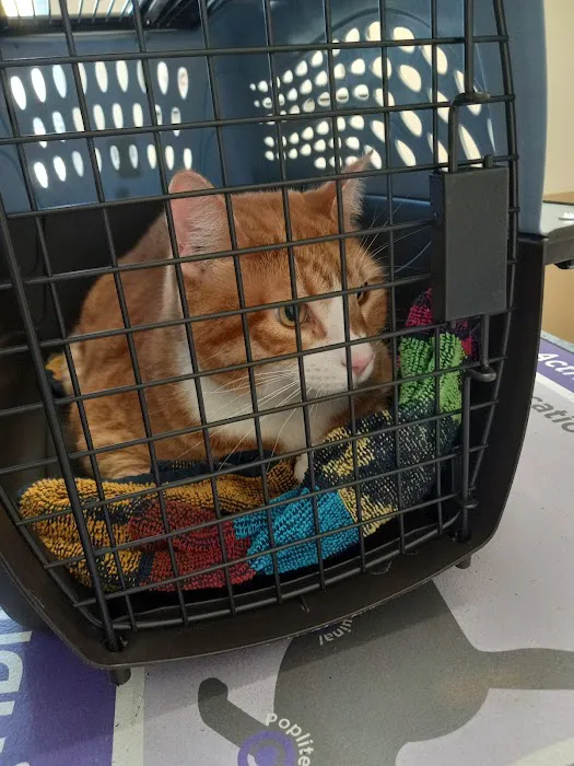 Blue Skies Veterinary Hospital Picture 9