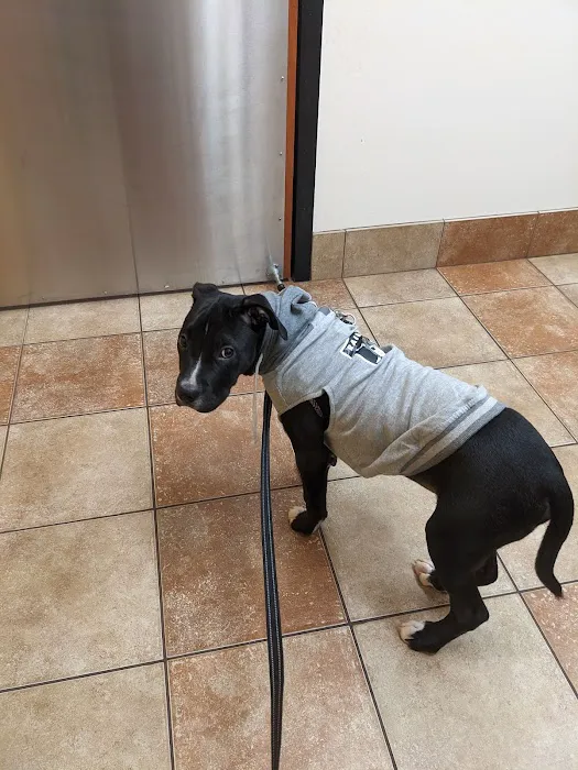 Banfield Pet Hospital Picture 7