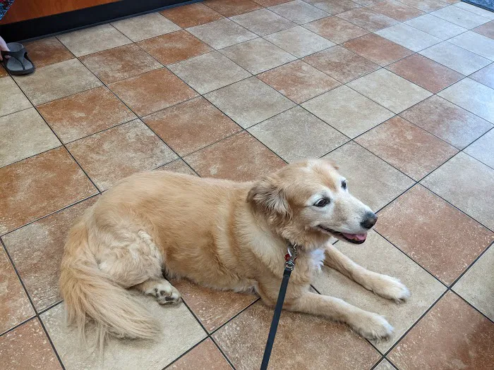 Banfield Pet Hospital Picture 9