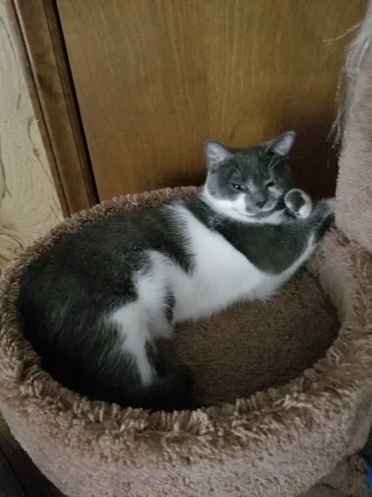 Banfield Pet Hospital Picture 2
