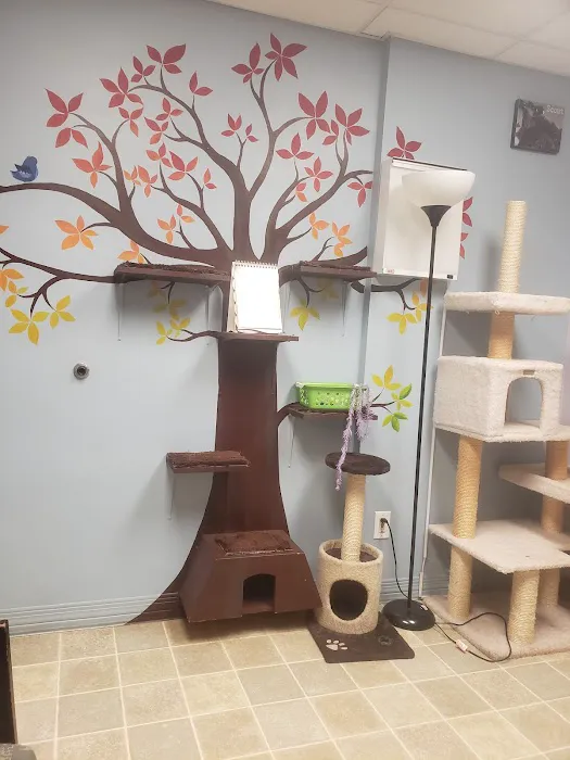 Animal Hospital-Newton Conover Picture 4