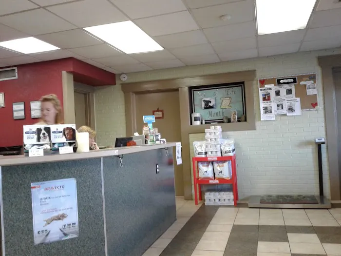 Animal Hospital-Newton Conover Picture 7