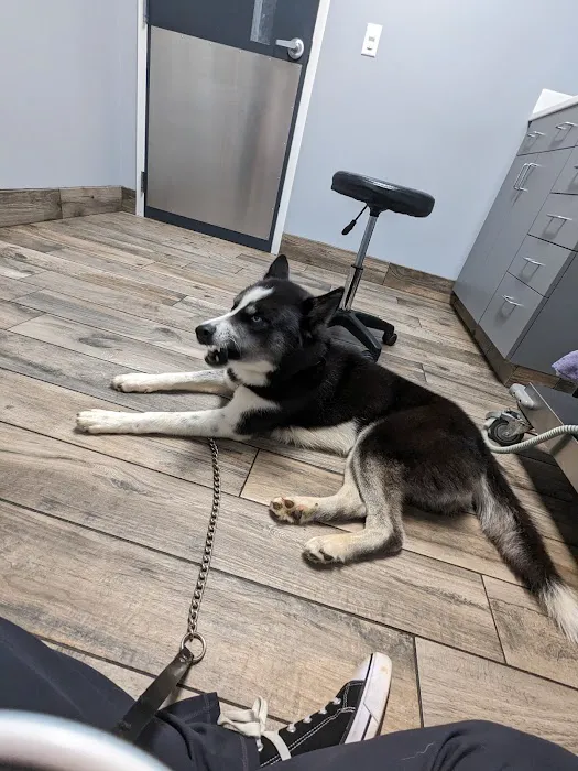 Startown Veterinary Hospital Picture 1