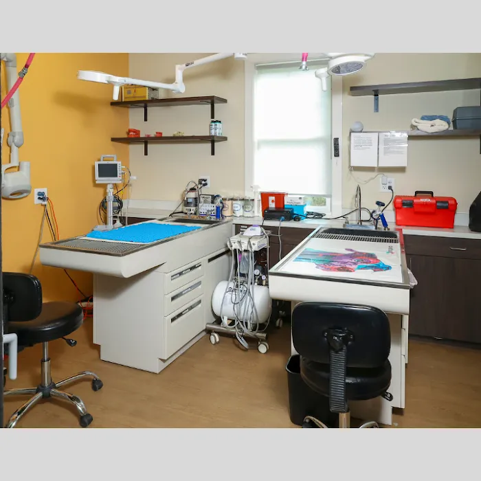 TotalBond Veterinary Hospital at Davidson Picture 10