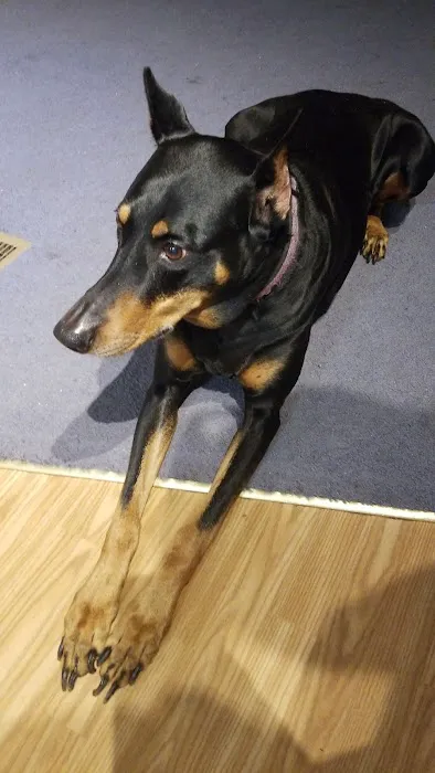 West Shore Animal Hospital Picture 7