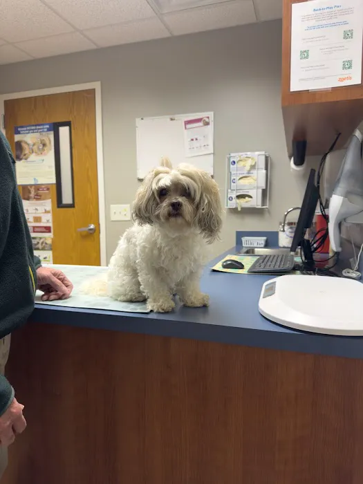 West Shore Animal Hospital Picture 1