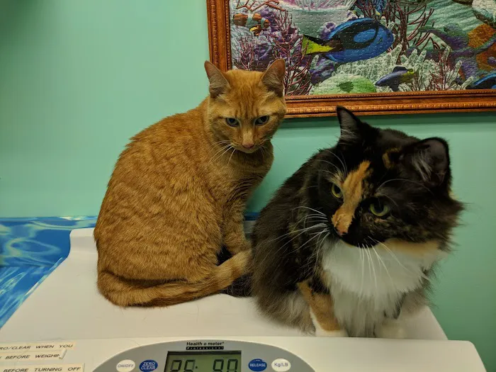 West Shore Animal Hospital Picture 3