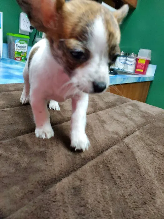 West Shore Animal Hospital Picture 2