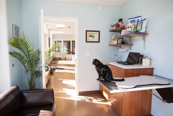 Whole Pet Veterinary Hospital - Davidson Picture 4