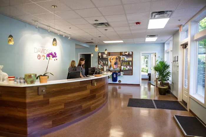 Whole Pet Veterinary Hospital - Davidson Picture 8