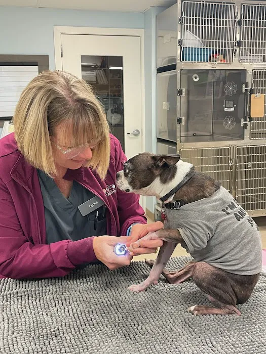 Whole Pet Veterinary Hospital - Davidson Picture 10