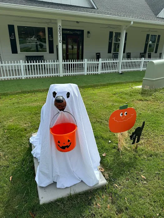 Main Street Veterinary Hospital Picture 10