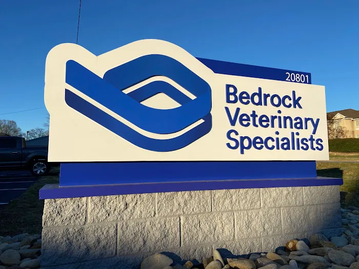 Bedrock Veterinary Specialists Picture 3