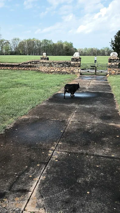 Bedrock Veterinary Specialists Picture 7
