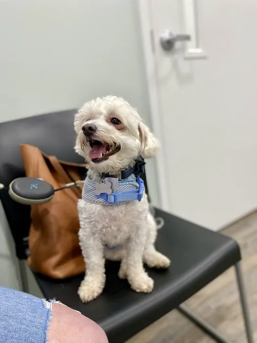 Hulin Veterinary Hospital Picture 9