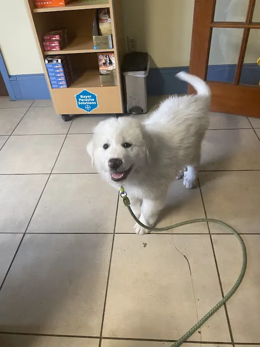 China Grove Animal Hospital Picture 7