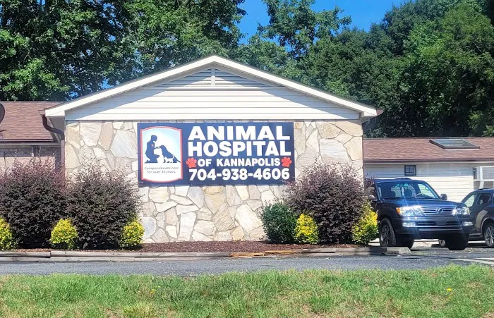 Animal Hospital of Kannapolis Picture 10