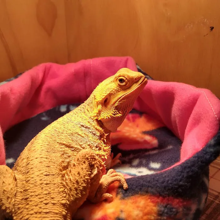 Griffin Avian & Exotic Veterinary Hospital Picture 7