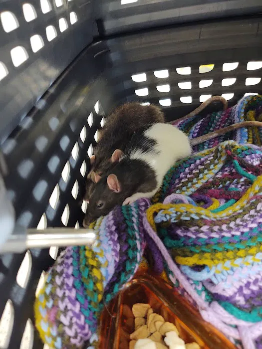 Griffin Avian & Exotic Veterinary Hospital Picture 2
