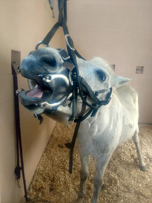 Rocky River Large Animal Veterinary Clinic Picture 3