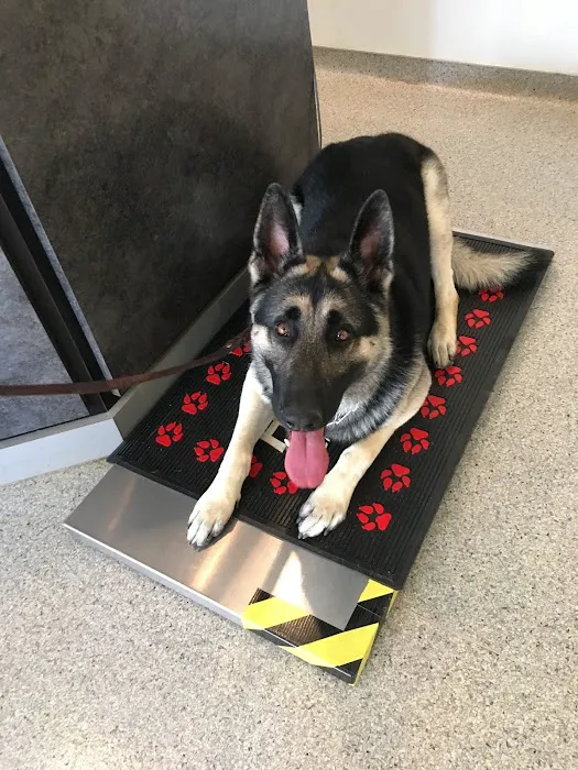 Denton Animal Hospital Picture 9