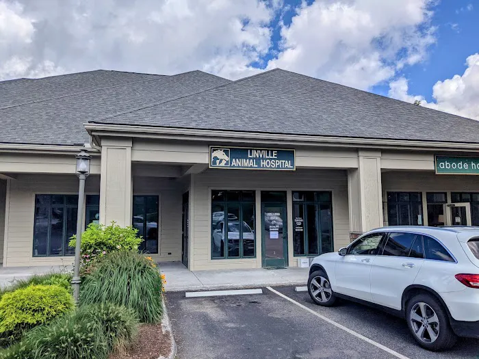 Linville Animal Hospital Picture 1