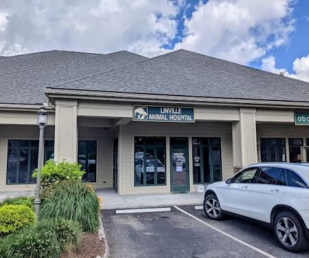 Linville Animal Hospital